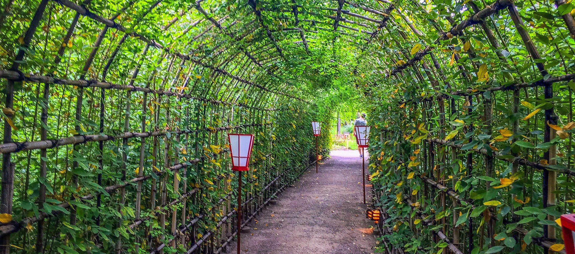 🌸 백화원(무코지마 햣카엔) 이미지 8